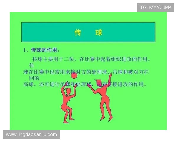 上海排球队整体压制战术解析与实战应用探讨 上海排球队整体压制战术解析与实战应用探讨