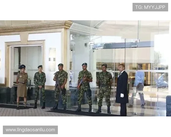 成都排球队在联合会杯中的拼搏历程与荣耀时刻全景回顾 成都排球队在联合会杯中的拼搏历程与荣耀时刻全景回顾