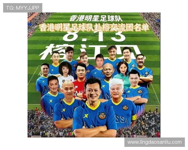 香港足球明星队各成员职责与分工详解图表分析 香港足球明星队各成员职责与分工详解图表分析