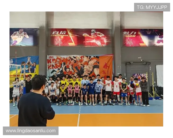 杭州排球队个人能力深度解析与发展潜力探讨 杭州排球队个人能力深度解析与发展潜力探讨