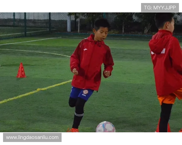 在孤独中倾诉对足球明星的爱恋与追随 在孤独中倾诉对足球明星的爱恋与追随