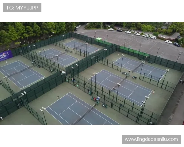 广州网球队选拔赛技术表现分析与未来发展展望 广州网球队选拔赛技术表现分析与未来发展展望