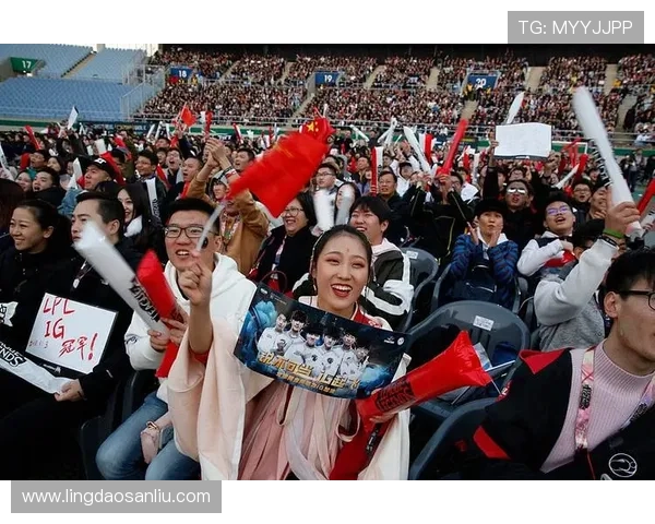 武汉羽毛球队逆袭之路揭秘挑战赛背后的奋斗与荣耀