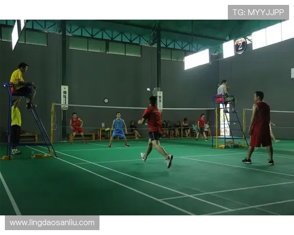 刘伟独家揭秘羽毛球技巧与心得分享助你提升竞技水平